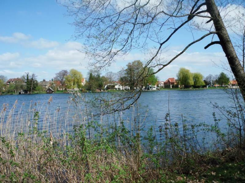 Ferienhaus Paul Am Klostersee, Urlaub Mit Hund Dargun Exterior foto