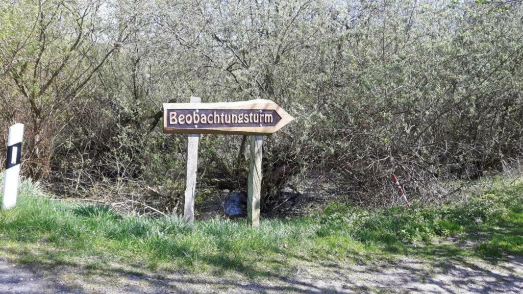 Ferienhaus Paul Am Klostersee, Urlaub Mit Hund Dargun Exterior foto